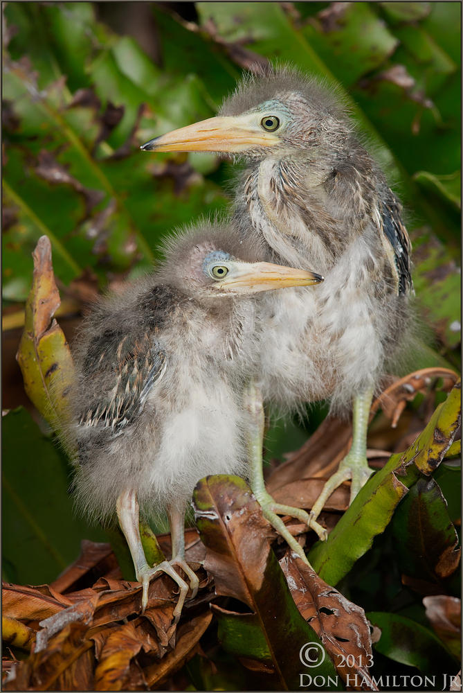  O7T6287Brothers-SmugMug