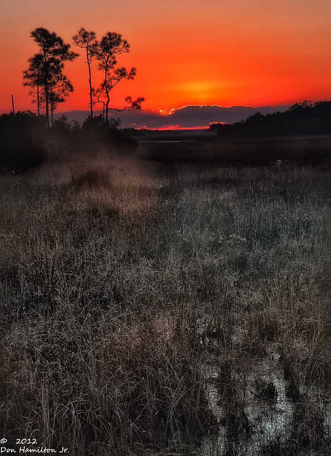 River-Of-Grass-Sunrise