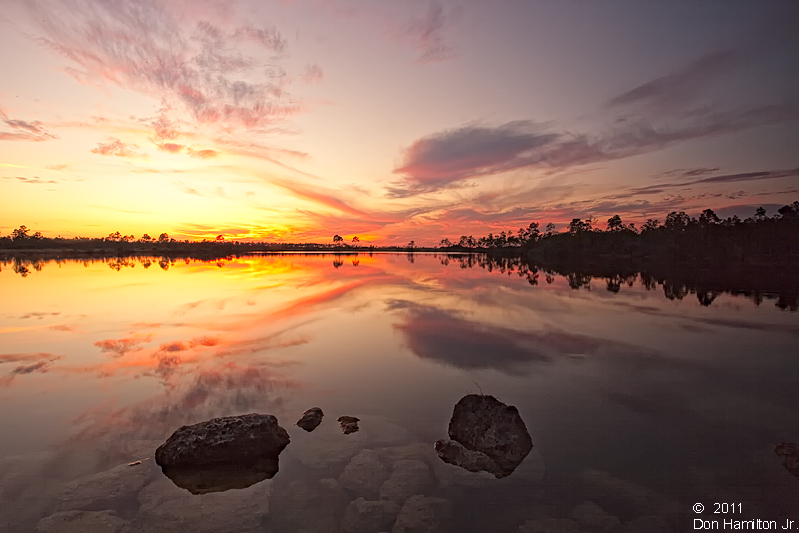 Flamingo-Sunset-Pines-Port