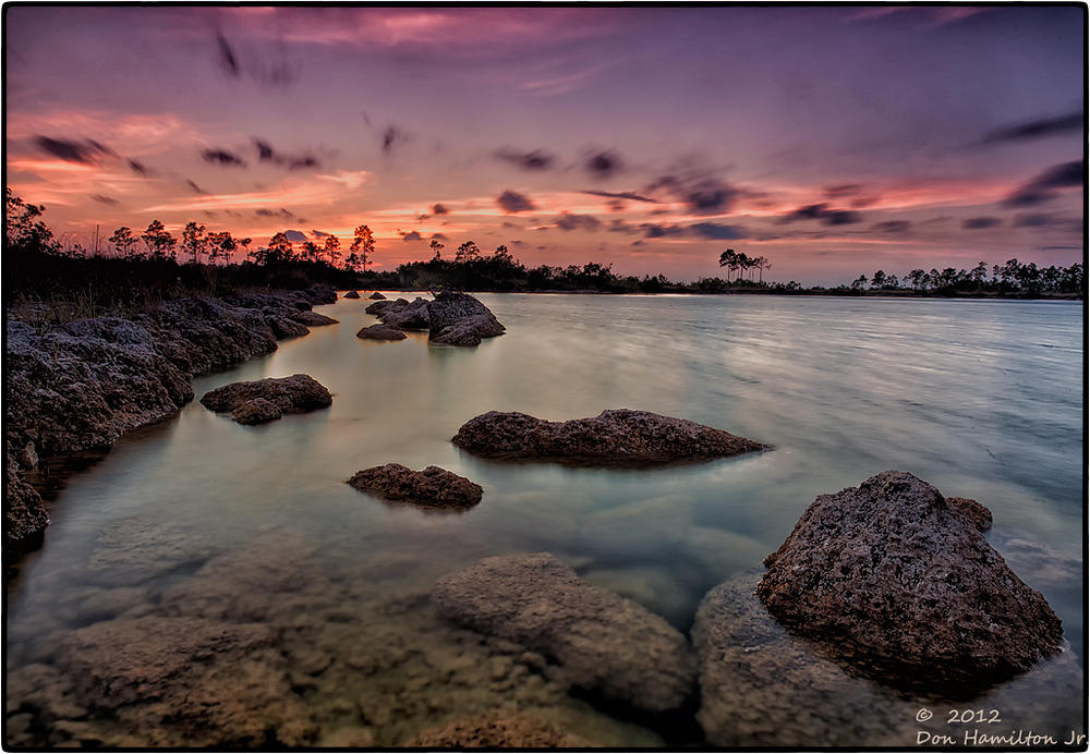 Glades-Evening