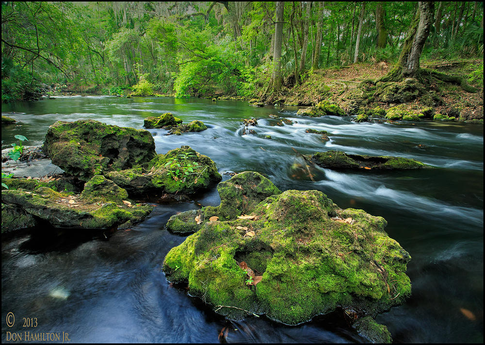 Hillsbourgh-River