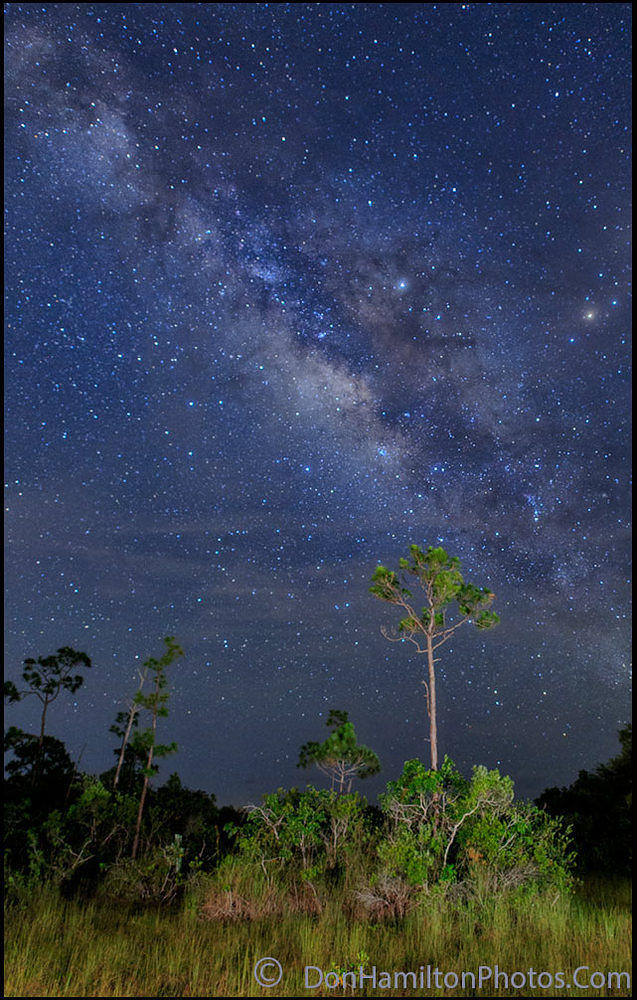 Milky-Way-PineLands-Crop MG 3703