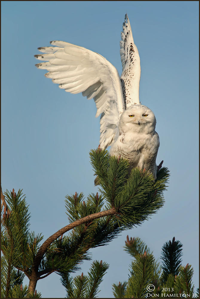 Here-I-Come-SmugMugjpg